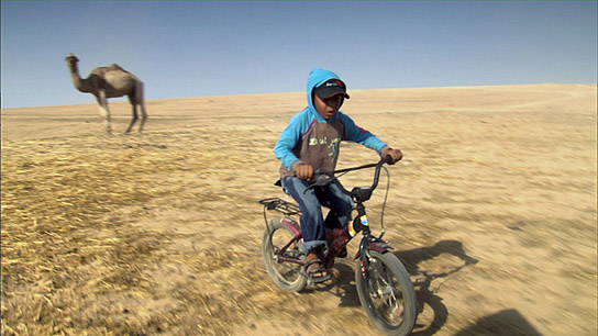 "Das Herz von Jenin" (2008)