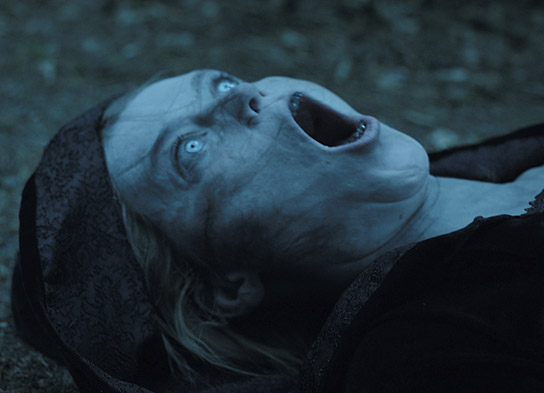 "The Bitter Taste" (2024)