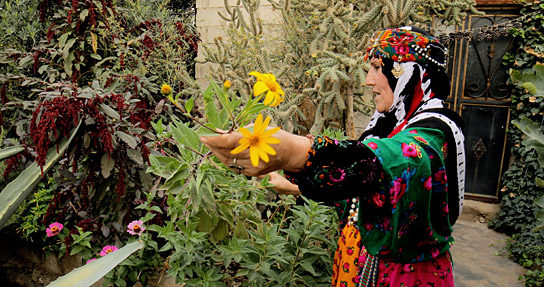"Tevî her tiştî - Trotz alledem" (2025)