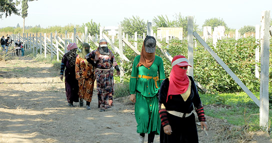 "Tevî her tiştî - Trotz alledem" (2025)