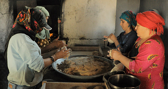 "Tevî her tiştî - Trotz alledem" (2025)