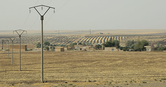 "Tevî her tiştî - Trotz alledem" (2025)