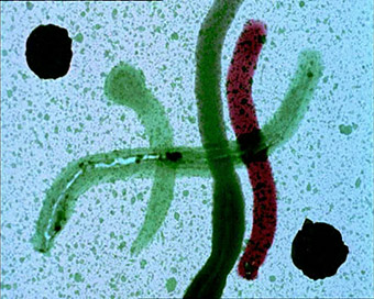 Screenshot_X Y