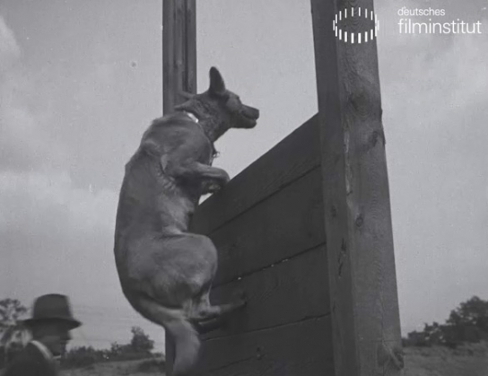 Screenshot aus "Hüter der Ordnung"