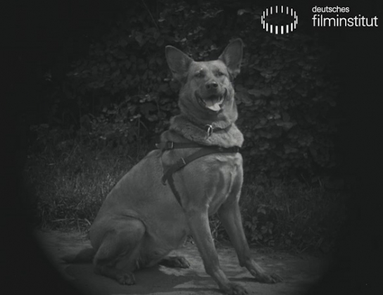 Screenshot aus "Hüter der Ordnung"