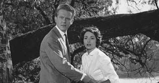 Fotogalerie 13 Kleine Esel Und Der Sonnenhof Filmportal De