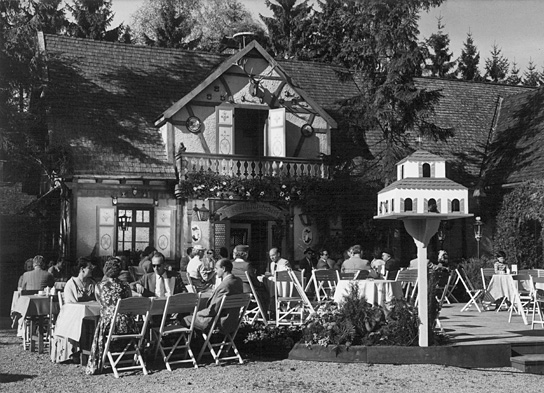 Das alte Försterhaus, DIF