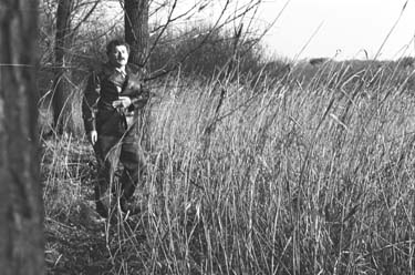 Wildwechsel