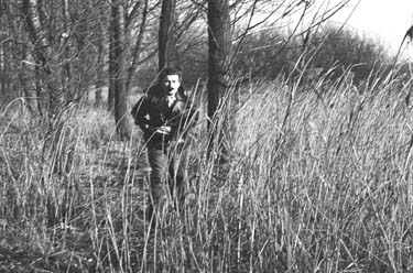 Wildwechsel
