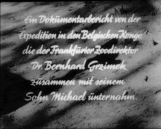 "Ein Fabeltier fliegt nach Deutschland", Quelle: DIF