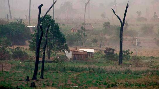 Kahlschlag - Der Kampf um Brasiliens letzte Wälder