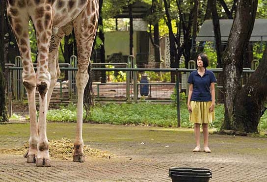 Die Nacht der Giraffe