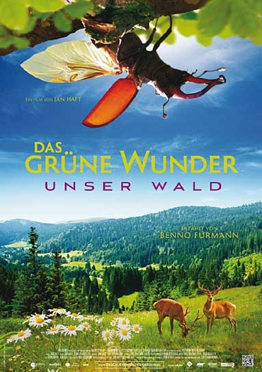 Das grüne Wunder - Unser Wald