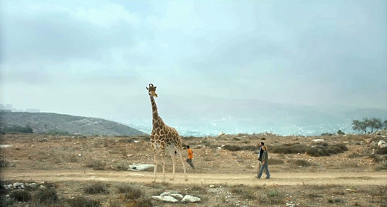 Giraffada