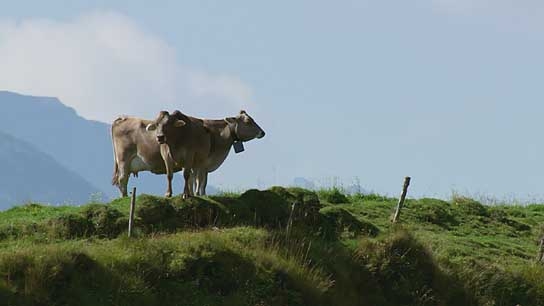 Die Alpen - Unsere Berge von oben; Quelle: Alamode Filmverleih, DIF, © Vidicom