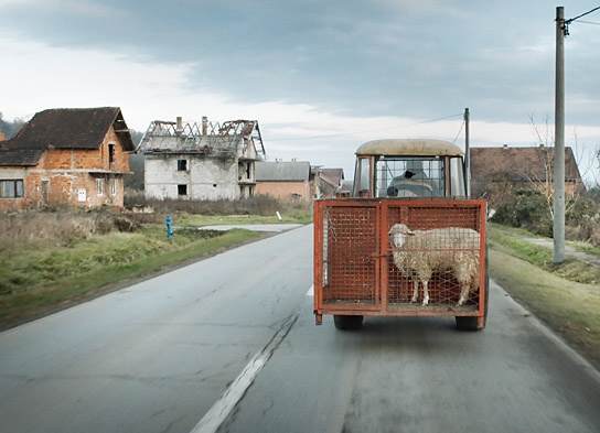 "Untitled", Quelle: Real Fiction Filmverleih, DIF