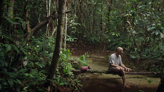 Song from the Forest, Quelle: Real Fiction Filmverleih, DIF, © Tondowski Films