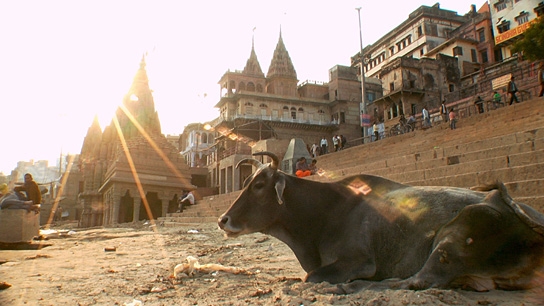 Fascinating India 3D, © Busch Media Group