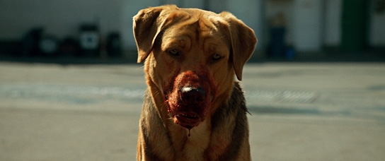 Underdog, Quelle: Delphi Filmverleih, DIF