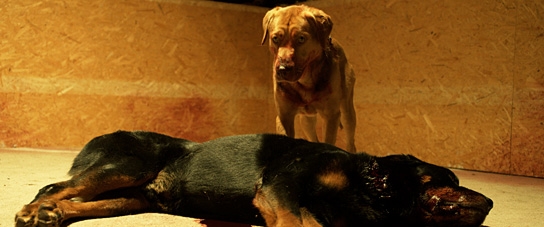 Underdog, Quelle: Delphi Filmverleih, DIF