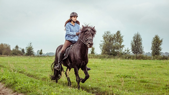 Hördur - Zwischen den Welten, © Storming Donkey Productions