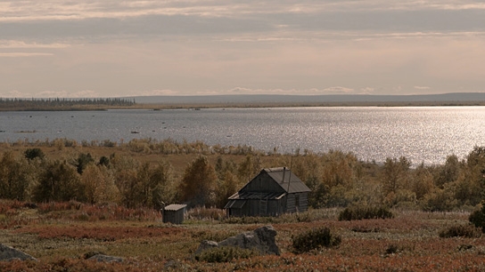 Die Hüter der Tundra, © W-film, Lichtblick Film