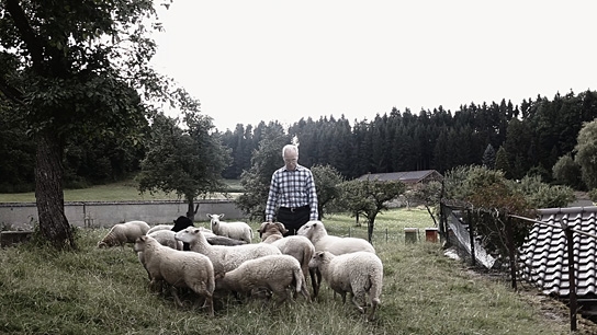 Silentium - Vom Leben im Kloster
