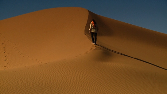 Desert Inspiration