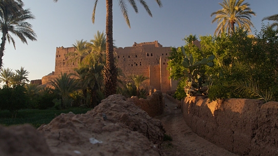 Desert Inspiration