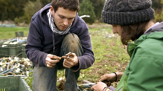 "Wild Plants", Quelle: Real Fiction Filmverleih, DIF, © Close Up Films