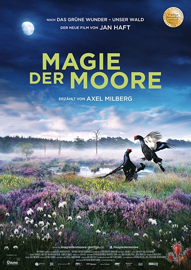 Magie der Moore, Polyband Medien, DIF