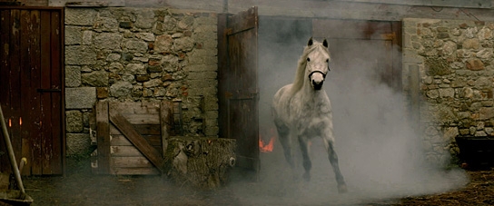 Die Legende der weißen Pferde, Quelle: Kinostar Filmverleih, DIF