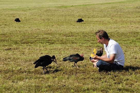 Birds and People - Ganz verrückt auf Vögel, © www.BirdsAndPeople.de