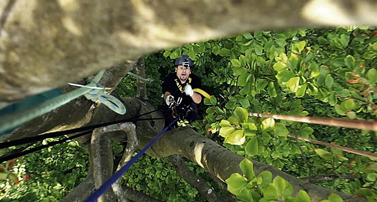 "Passion for Planet", Camino Filmverleih, DIF, Foto: Andre Laubner
