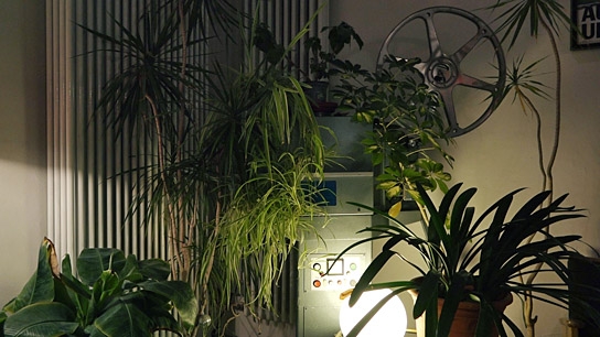 "66 Kinos", Quelle: Flumenfilm, DIF, © Flumenfilm