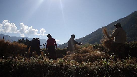 "The Farmer and I"; Quelle: Kinostar Filmverleih, DIF, © fechnerMEDIA