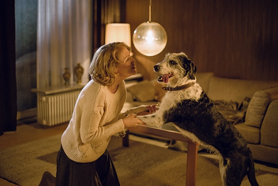 "Der Hund begraben", Quelle: Movienet Film, DIF, © Glory Film