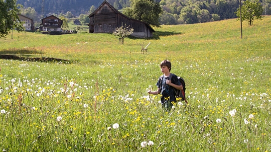 "Nicht ohne uns!", Quelle: Farbfilm Verleih, DIF