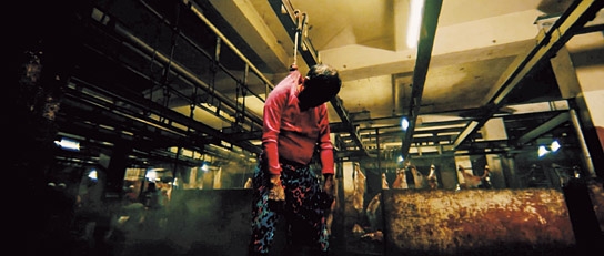 "Alipato - The Very Brief Life Of An Ember", Quelle: Rapid Eye Movies, DIF