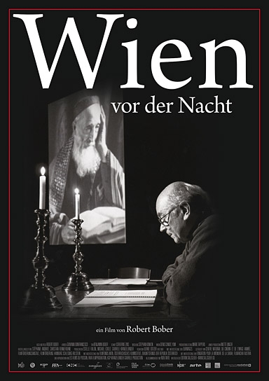 "Wien vor der Nacht", Quelle: Edition Salzgeber, DIF