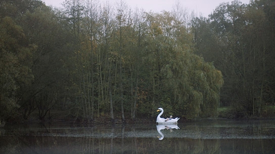 "Trockenschwimmen", Quelle: eksystent distribution, DIF, © Susanne Kim