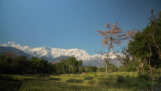 "Didi Contractor - Marrying the Earth to the... ", © individuofilm, Xaras media
