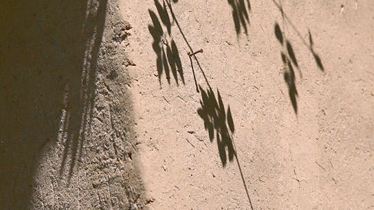 "Didi Contractor - Marrying the Earth to the... ", © individuofilm, Xaras media