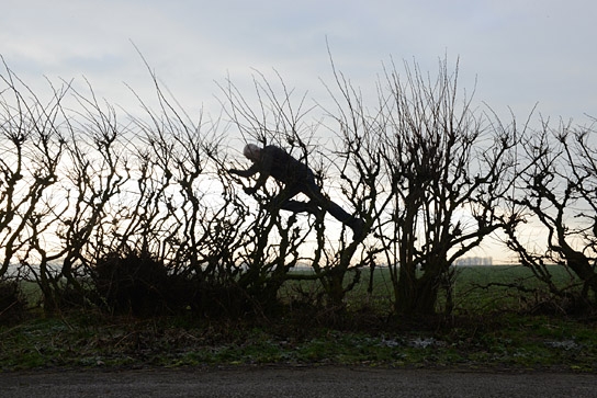 "Leaning into the Wind ", Quelle: Piffl Medien, DIF, © Piffl Medien