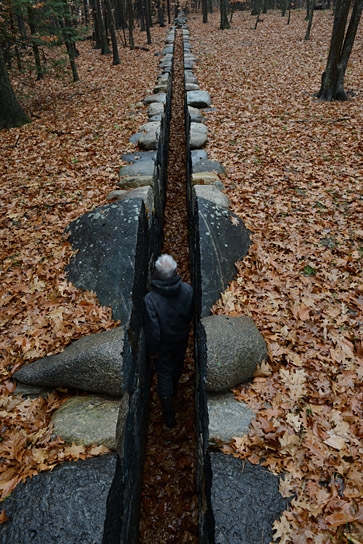 "Leaning into the Wind ", Quelle: Piffl Medien, DIF, © Piffl Medien