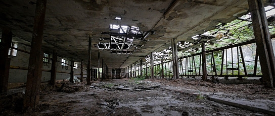 "The End of Meat - Eine Welt ohne Fleisch", Quelle: mindjazz pictures, DIF