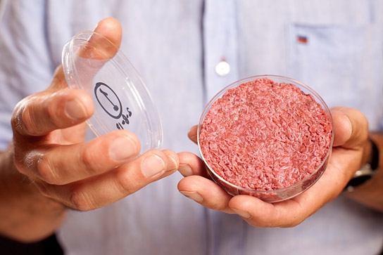 "The End of Meat - Eine Welt ohne Fleisch", Quelle: mindjazz pictures, DIF