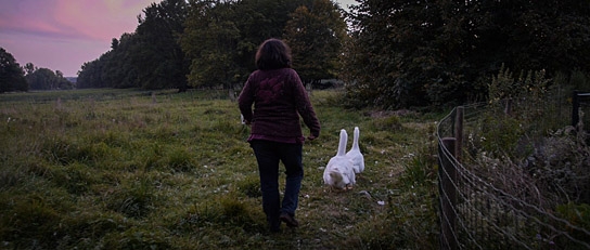 "The End of Meat - Eine Welt ohne Fleisch", Quelle: mindjazz pictures, DIF