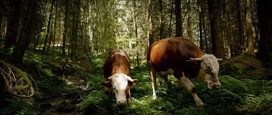"The End of Meat - Eine Welt ohne Fleisch", Quelle: mindjazz pictures, DIF