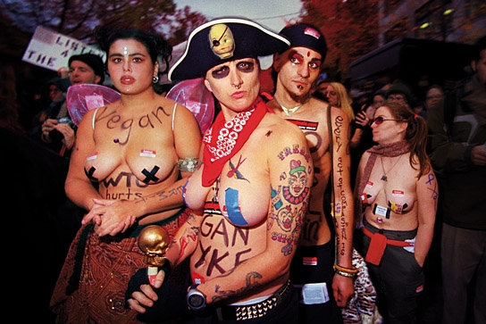 "Queercore - How to Punk a Revolution", © Salzgeber & Co. Medien, Alice Wheeler